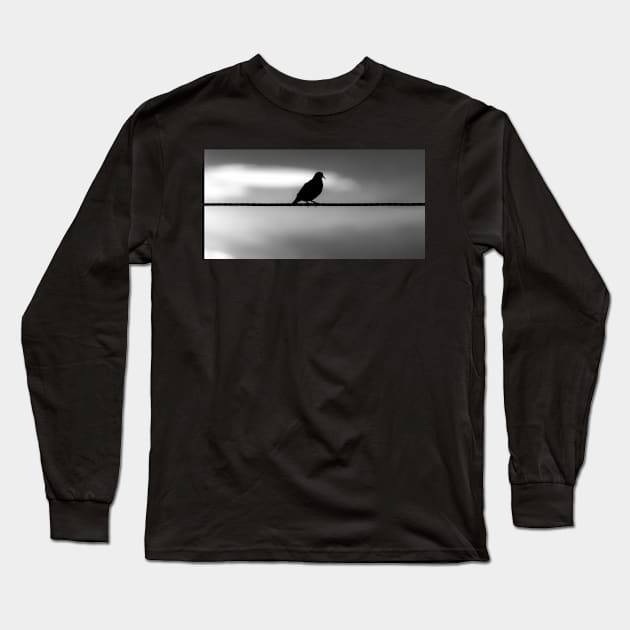 pigeon Long Sleeve T-Shirt by rickylabellevie